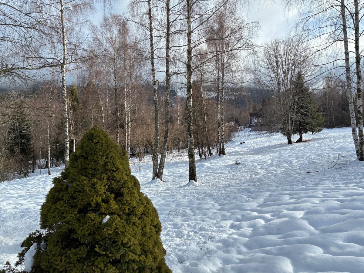 Vista esterna della baita